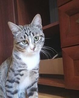 Андрюша Похлёпкин — фото 1